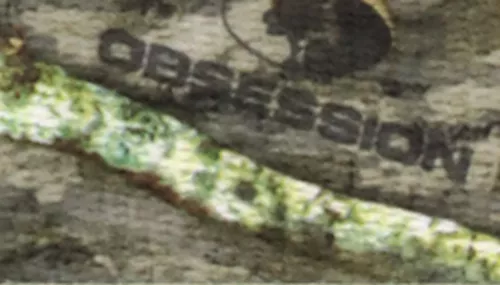 Water & Woods™ Double-Ply Patterned Hound Dog Collar Product image