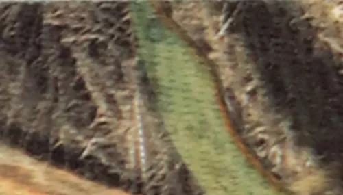 Water & Woods™ Waterproof Hound Dog Collar with Center Ring Product image